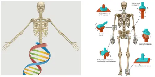 Best Bone Fracture Treatment Cost In India